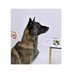 АВЗ Барс капли против блох и клещей для собак более 30 кг 2 пипетки/5 мл – интернет-магазин Ле’Муррр