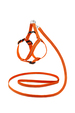 Saival Classic Рефлекс Комплект светоотражающий для собак (поводок + шлейка), оранжевый – интернет-магазин Ле’Муррр
