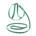 Saival Classic Колор Комплект поводок и шлейка 8 (зелёный) – интернет-магазин Ле’Муррр