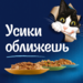 Влажный корм Felix Аппетитные кусочки для взрослых кошек, с форелью в желе – интернет-магазин Ле’Муррр