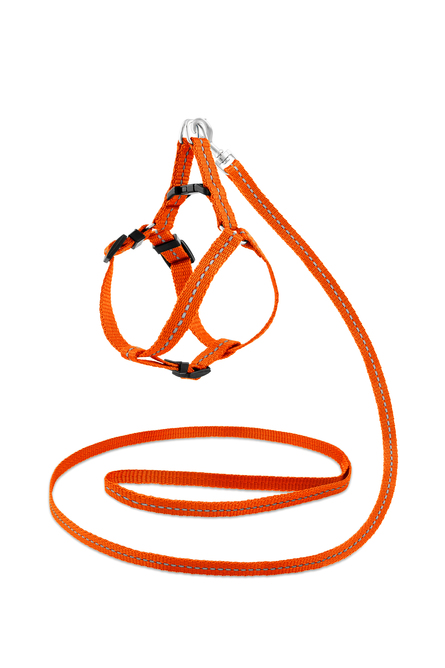 Saival Classic Рефлекс Комплект светоотражающий для собак (поводок + шлейка), оранжевый – интернет-магазин Ле’Муррр