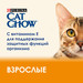 Влажный корм Cat Chow® для взрослых кошек, с лососем и зеленой фасолью в желе, Пауч – интернет-магазин Ле’Муррр
